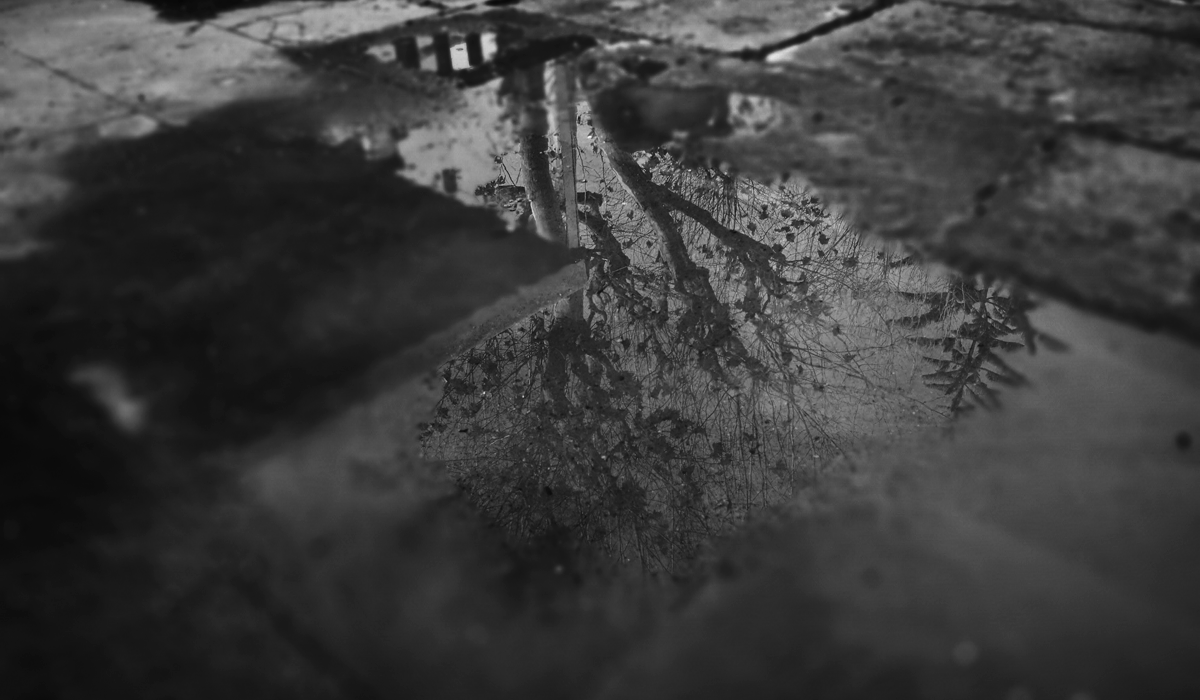 Reflejos plaza sanRoque web