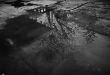 Reflejos plaza sanRoque web