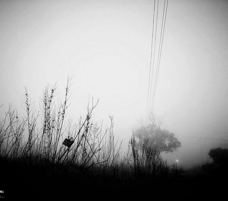 neblina lomo