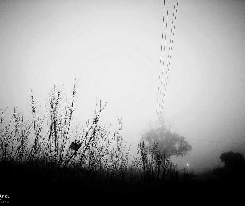 neblina lomo