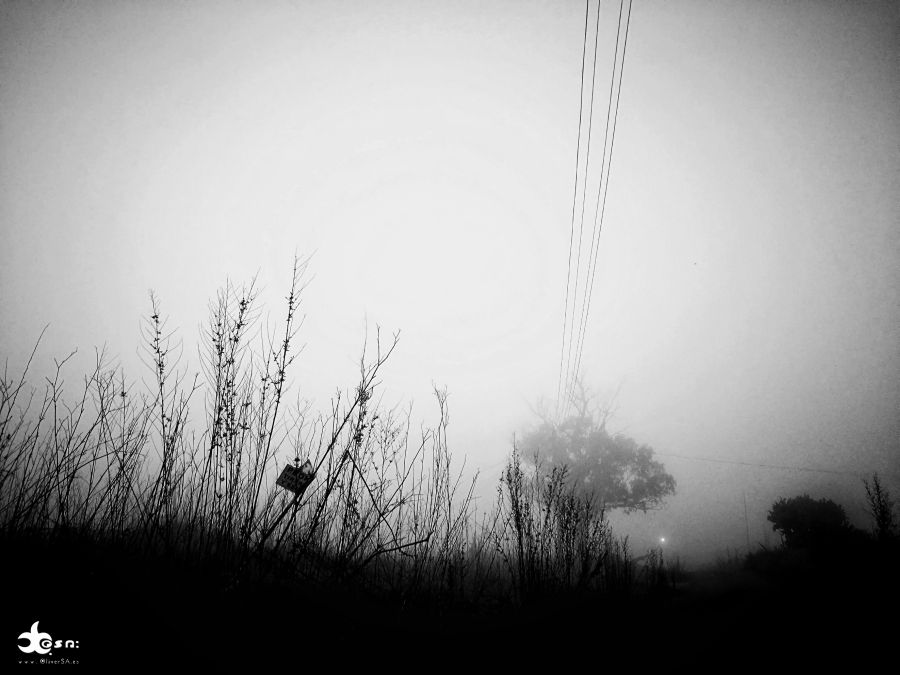 neblina lomo