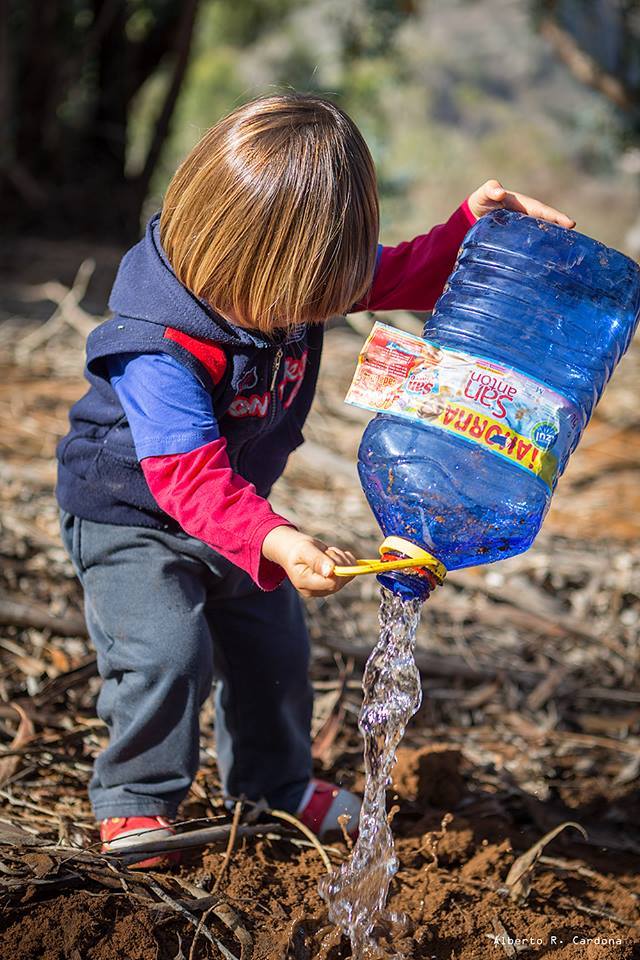 Plantando un bosque, proyecto sostenible de Óliver SA