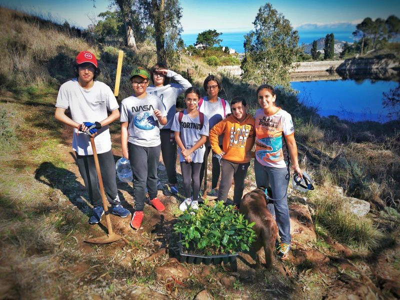 Repoblación forestal del proyecto Óliver SA